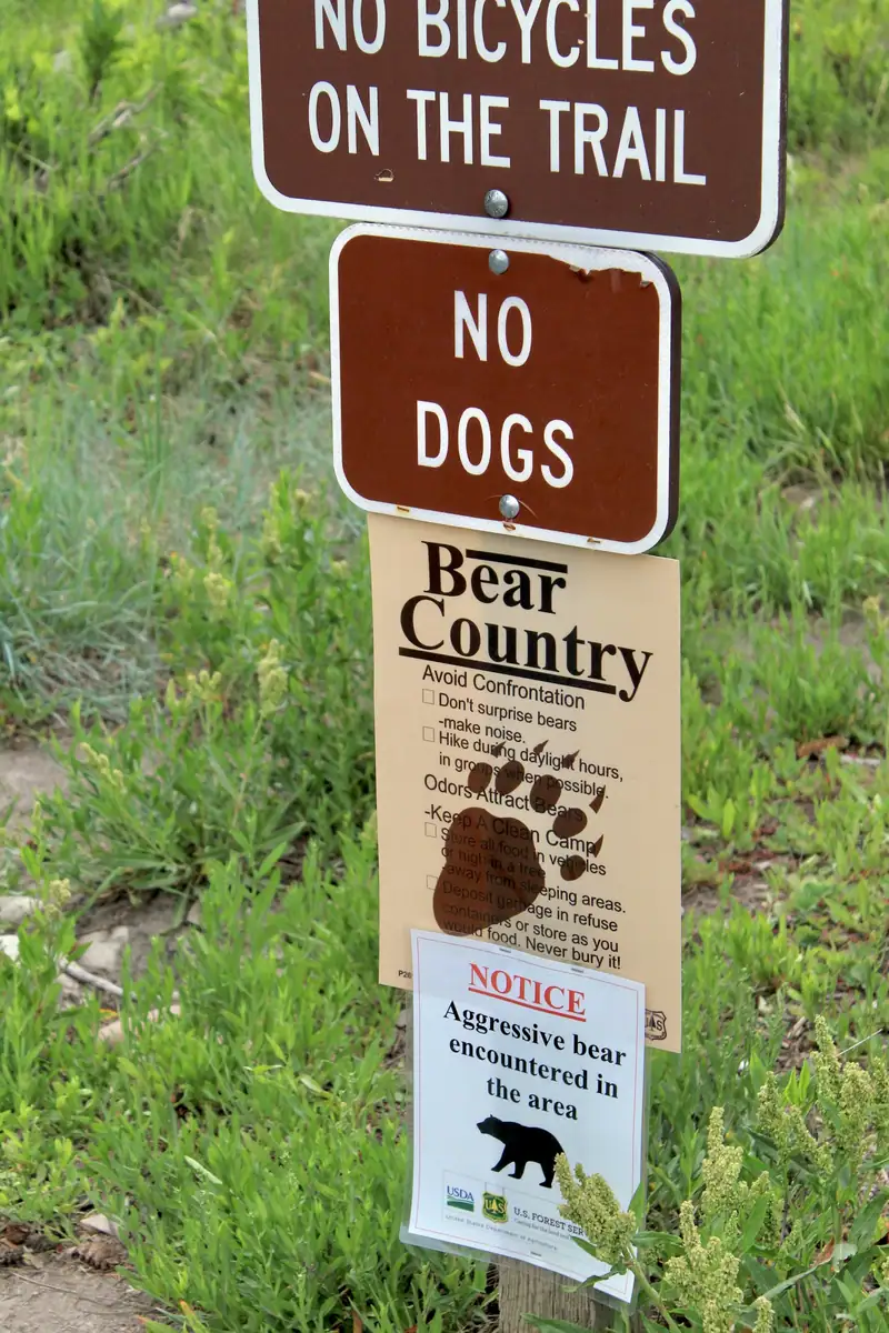 Wooden trail sign reading Bear Country with guidance for hikers, set in green grass